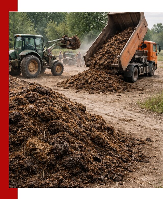Доставка навоза самосвалами в Белебее для сельхозпотребностей